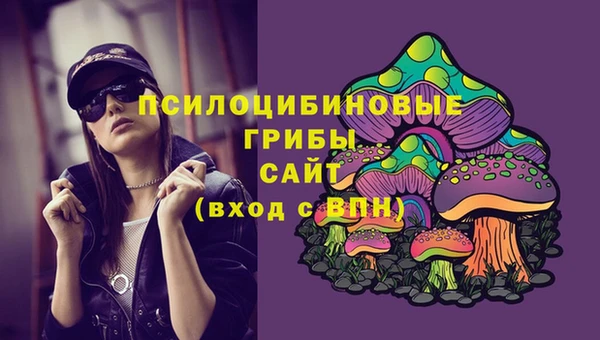 гашик Балабаново