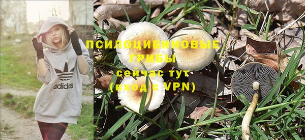 гашик Балабаново